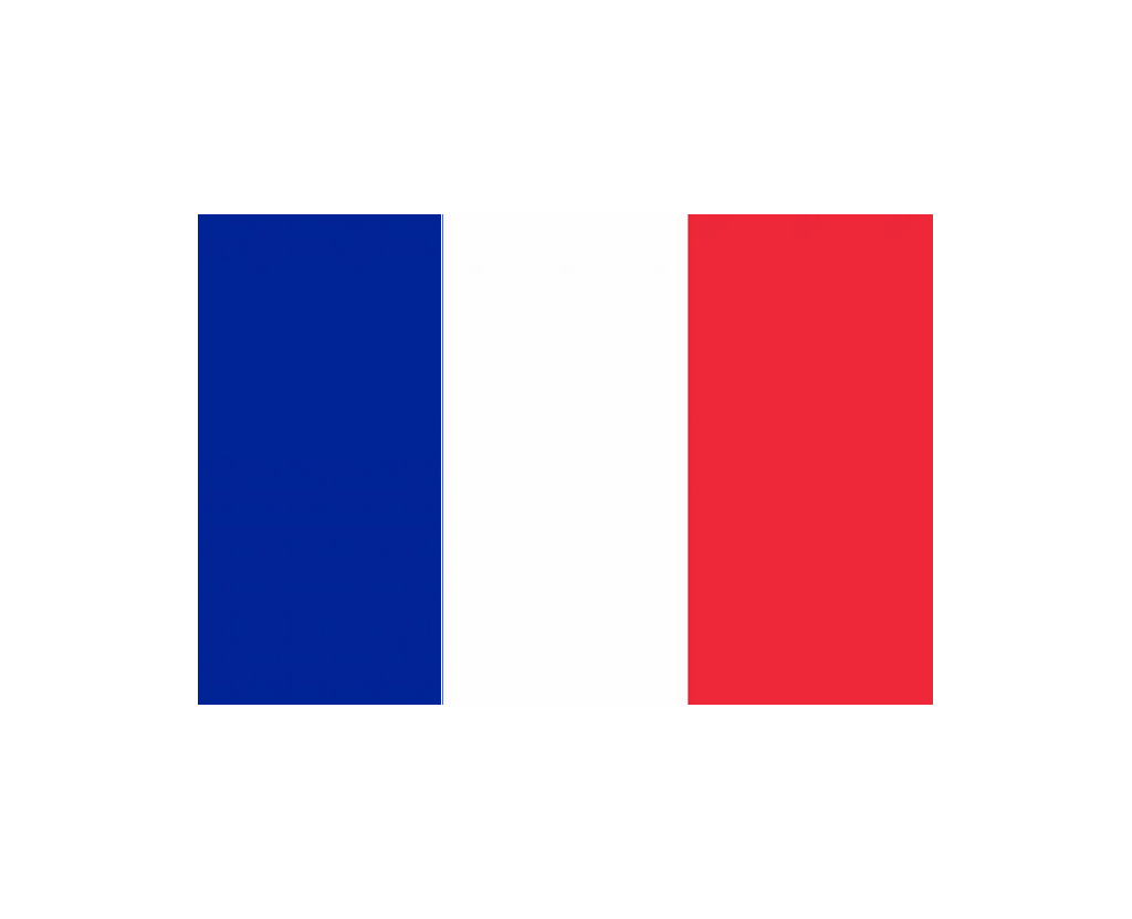 French (France)